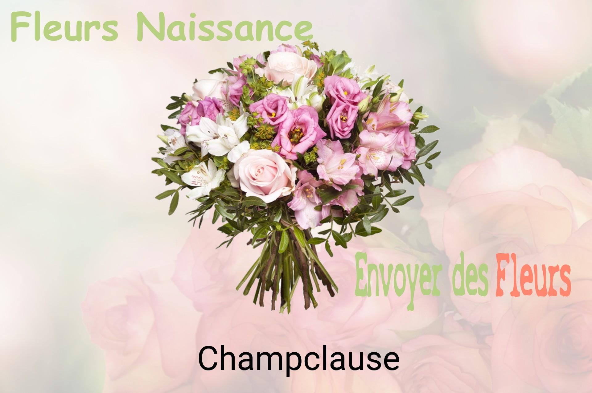 Bouquet de fleurs de naissance livré à Champclause